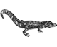 Crocodilian Resources