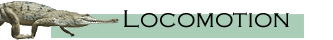 Locomotion