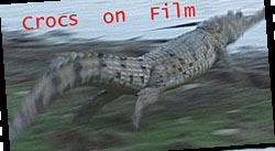 Crocs on Film