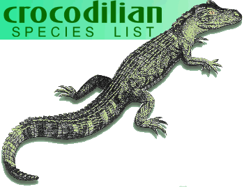 crocodilian species reptiles list crocodile crocodiles crocodilians submission alligators caimans gharials gavialidae crocodylidae looking cnhc csl