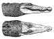 Head drawing