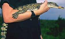 holding juvenile in one arm